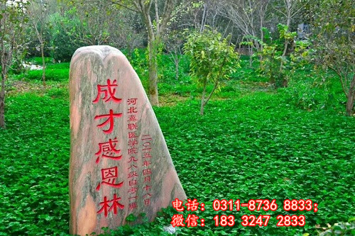 石家莊冀聯(lián)醫(yī)學院