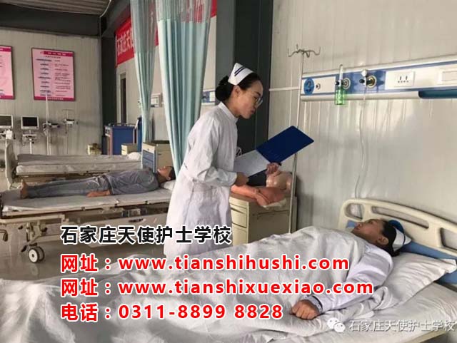 石家莊天使護士學(xué)校有哪些專業(yè)