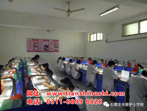 石家莊天使護(hù)士學(xué)校口腔專業(yè)對(duì)口升學(xué)大專有哪些學(xué)校