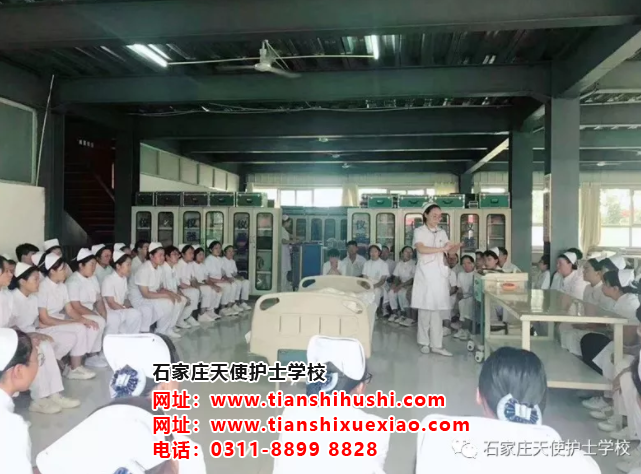 石家莊天使護(hù)士學(xué)校護(hù)理專業(yè)禮儀培訓(xùn)