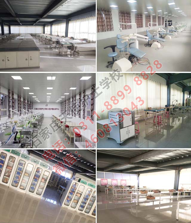 初中生適合報讀石家莊天使護士學校哪些專業