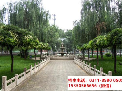 高鐵站到石家莊東華鐵路學校怎么走？