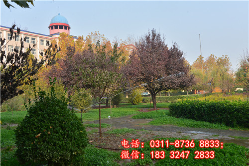 上石家莊冀聯醫學中等專業學校要分數嗎？