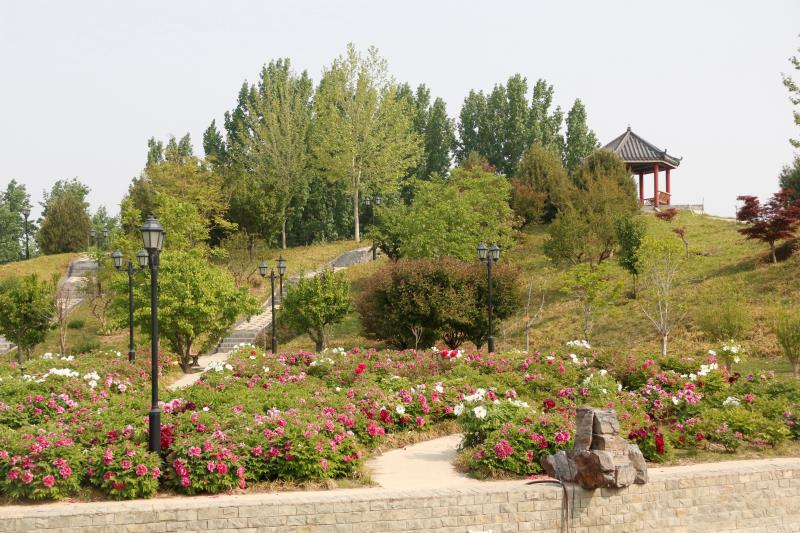 2022年河北同仁醫(yī)學(xué)院學(xué)費(fèi)多少？