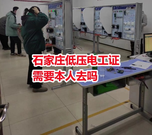 石家莊低壓電工證需要本人去嗎
